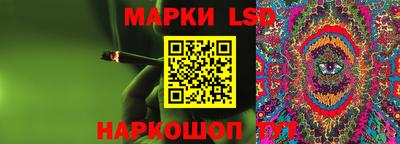 хмурый Сланцы