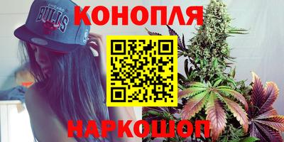 стаф Славгород